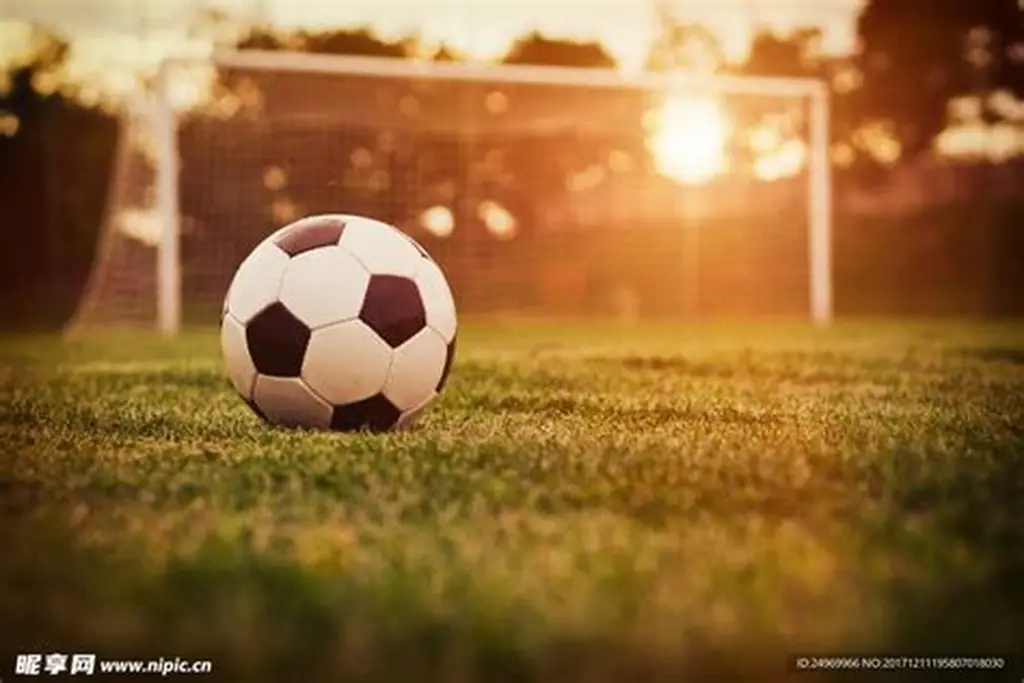 星空体育(中国)官方网站_StarrySky Sports